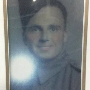 Meet your Posher, Shelley